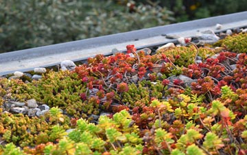the cost of Priory Heath green roof installation
