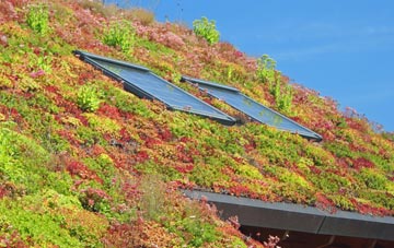 Priory Heath living roof systems