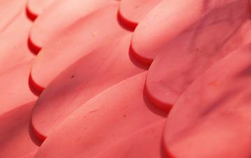 Priory Heath plastic roof costs