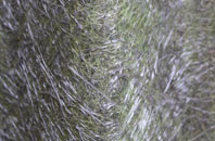 Priory Heath fibreglass roof work